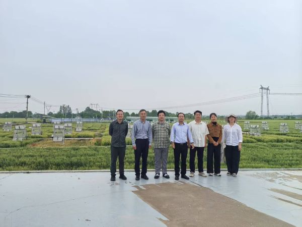 南京土壤研究所組織黨員前往江蘇省土壤碳中和與氣候變化應(yīng)對試驗基地參觀調(diào)研3.jpg